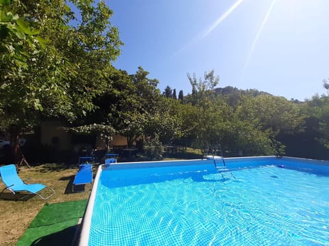 Natural landscape, Garden, Swimming pool, sunbed