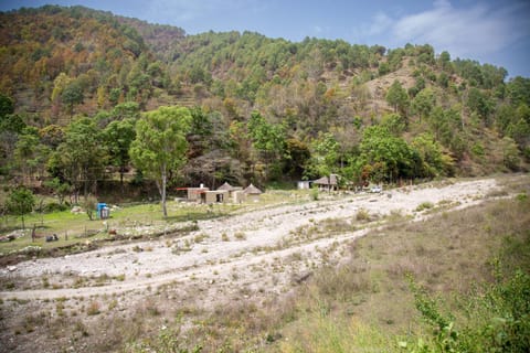 Area and facilities