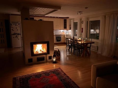 Living room, kitchen