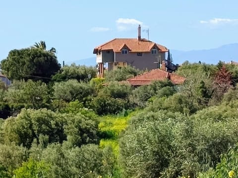 Property building, Natural landscape
