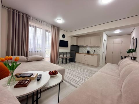 Bed, TV and multimedia, Kitchen or kitchenette, Living room, Photo of the whole room, Seating area, Dining area, Bedroom