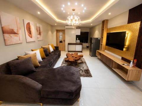 Toilet, Communal lounge/ TV room, TV and multimedia, Kitchen or kitchenette, Living room, Seating area, air conditioner, air conditioner