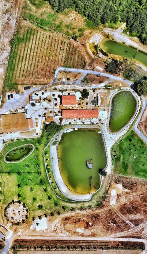 Natural landscape, Bird's eye view