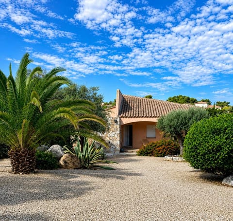 Property building, Garden view