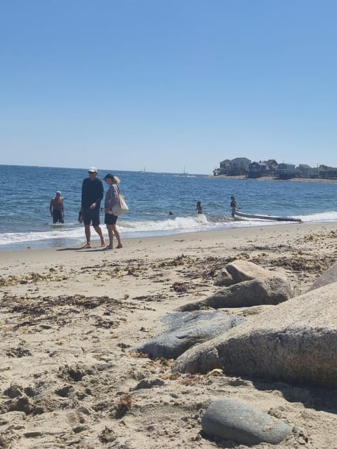 People, Natural landscape, Beach