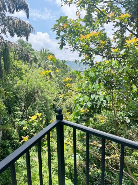 Garden view, Mountain view