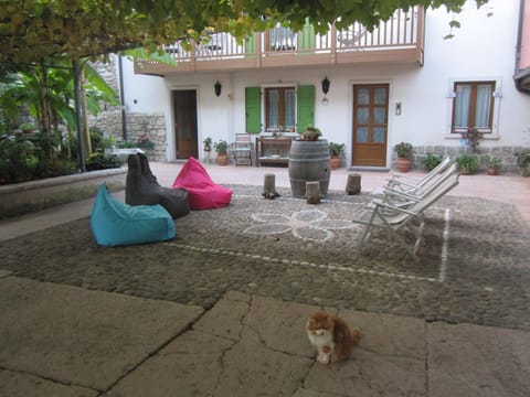 Property building, Pets