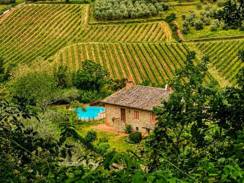 Natural landscape, Bird's eye view, Garden view
