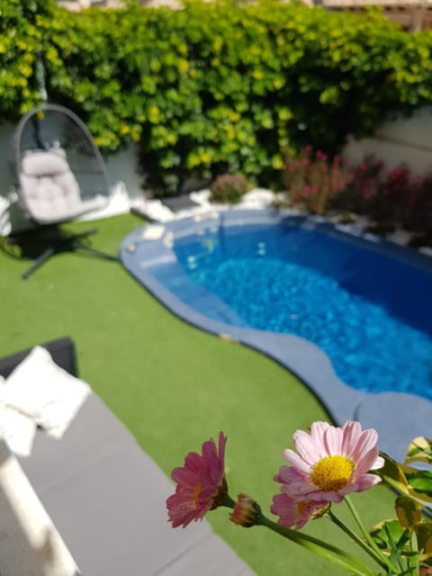 Garden, Pool view, Swimming pool