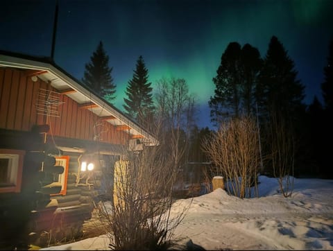 Property building, Night, Natural landscape, Winter