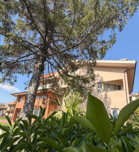 Property building, Garden
