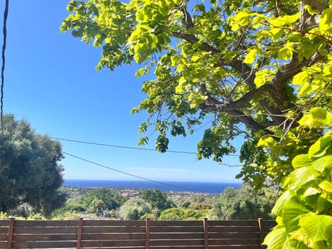 Natural landscape, Sea view