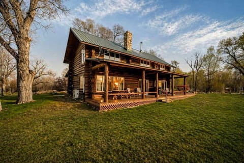 Property view