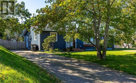 Natural landscape, Garden, Street view
