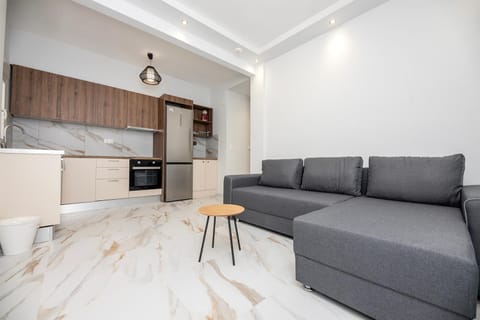 Kitchen or kitchenette, Living room, Seating area, oven, stove