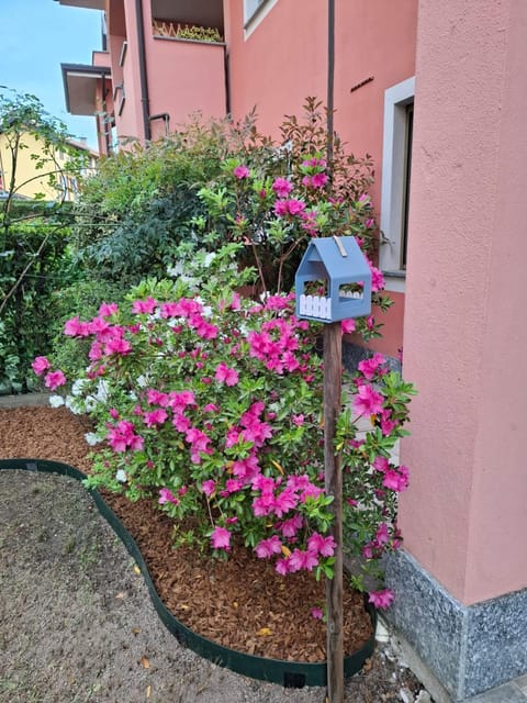 Garden, Garden view