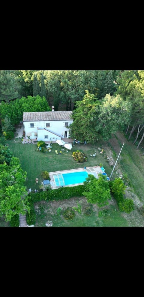 Bird's eye view, Garden, Swimming pool