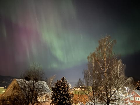Night, Natural landscape, Winter