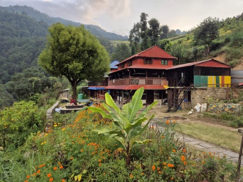 Property building, Natural landscape, Garden view