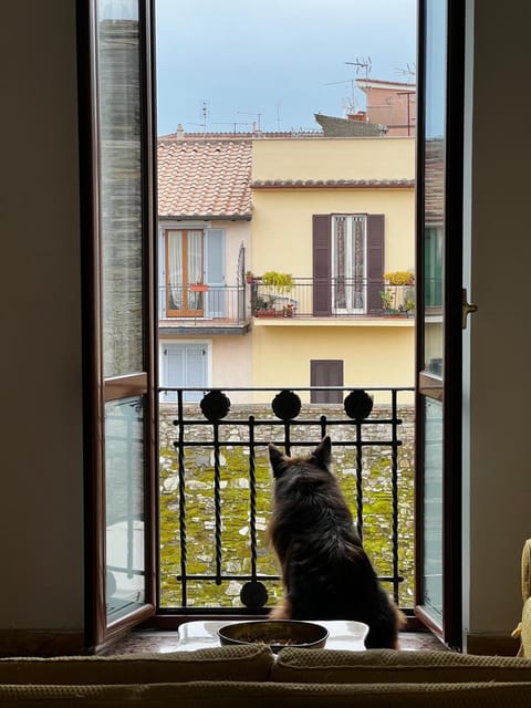 View (from property/room), Pets