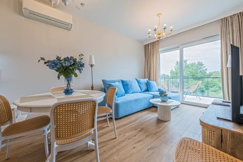 Living room, air conditioner