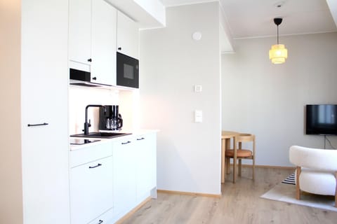 Kitchen or kitchenette, stove
