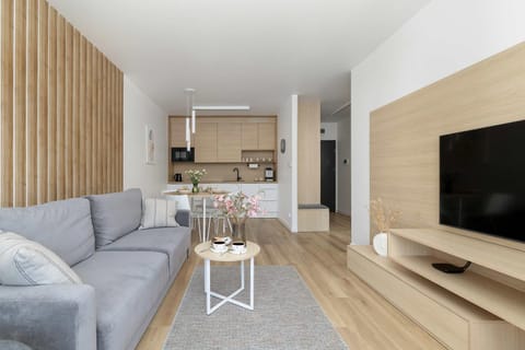 TV and multimedia, Kitchen or kitchenette, Living room, Seating area