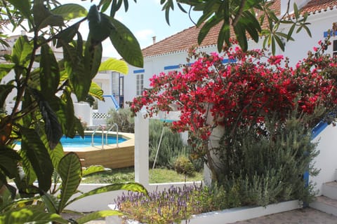 Property building, Garden, Garden view, Pool view, Swimming pool