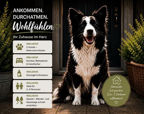 Pets, pet friendly