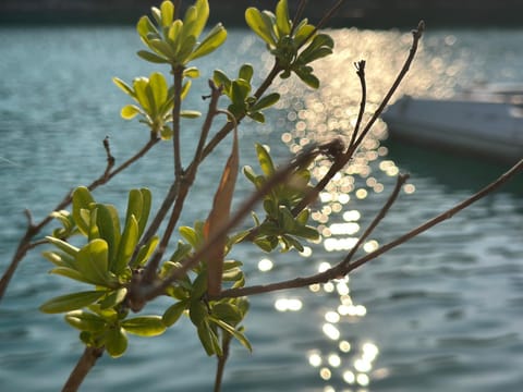 Off site, Sea view, Sunset