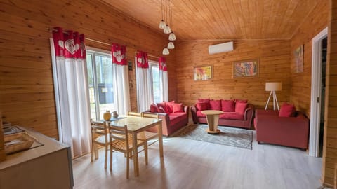 Living room, Seating area, Dining area, air conditioner