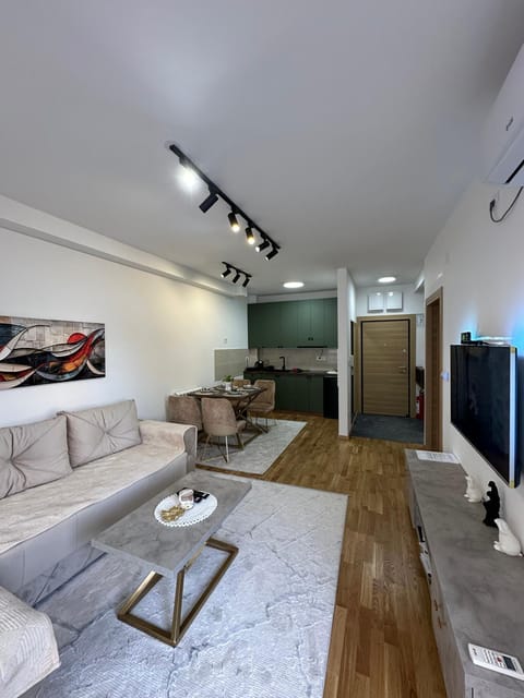 TV and multimedia, Living room, Seating area, air conditioner