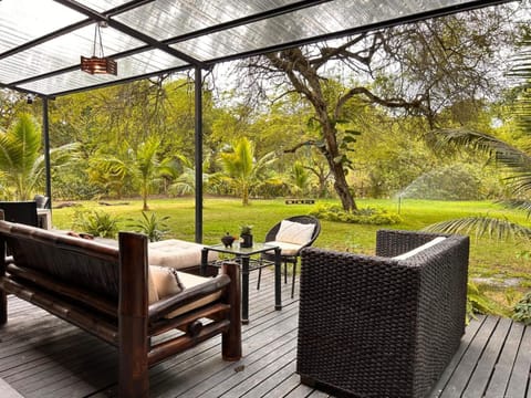 Garden view