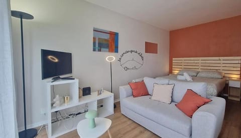 Living room, Photo of the whole room