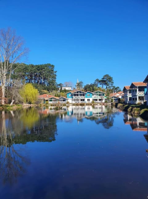 Natural landscape, Lake view, River view