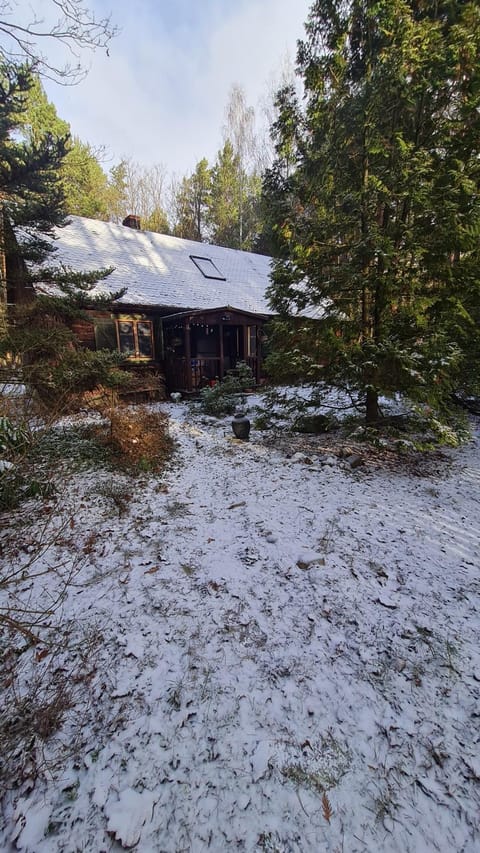 Natural landscape, Winter