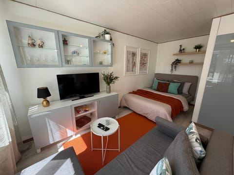Communal lounge/ TV room, Bed, TV and multimedia, Photo of the whole room, Evening entertainment, Bedroom