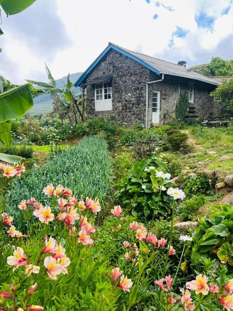 Property building, Garden, Garden view