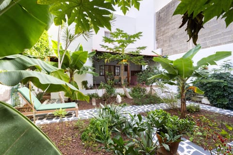 Day, Garden, Garden, Garden view