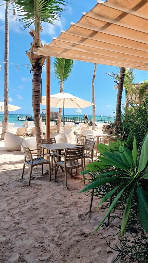 Patio, Restaurant/places to eat, Day, Natural landscape, Beach, sunbed