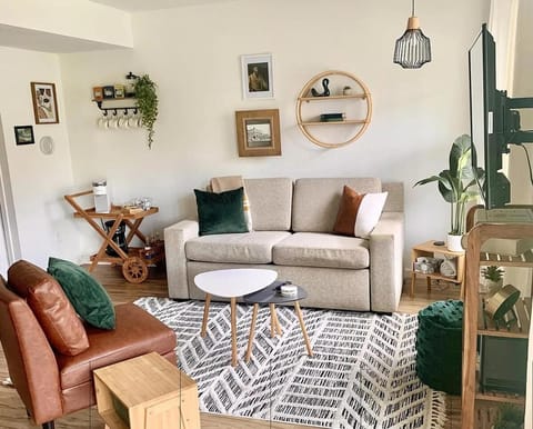 Living room, Decorative detail, Seating area, pet friendly