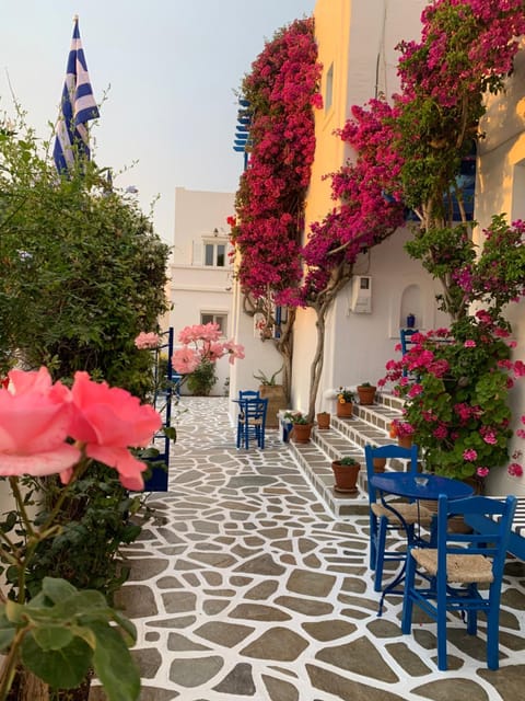 Pelagos Studios Apartment hotel in Paros