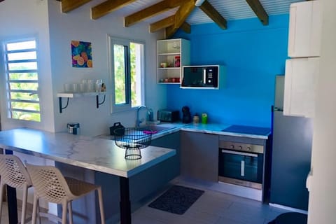 Kitchen or kitchenette, oven, stove, kitchen