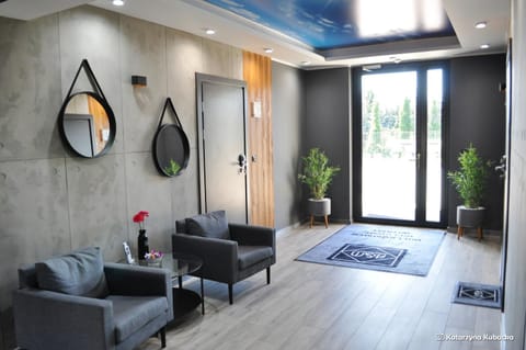 Living room, Lobby or reception, Seating area