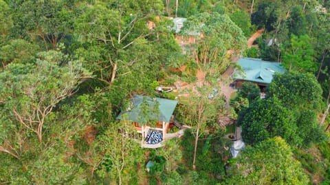 Property building, Bird's eye view, Decorative detail, Garden view, Area and facilities