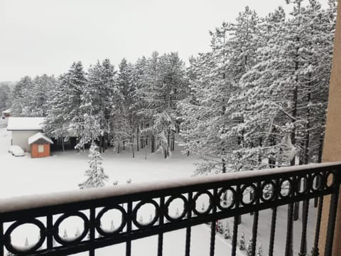 Day, Natural landscape, Winter