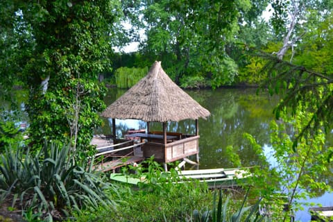 Natural landscape, Garden, Garden view, Lake view