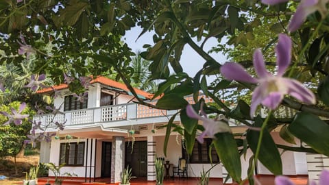 Property building, Garden, Garden view