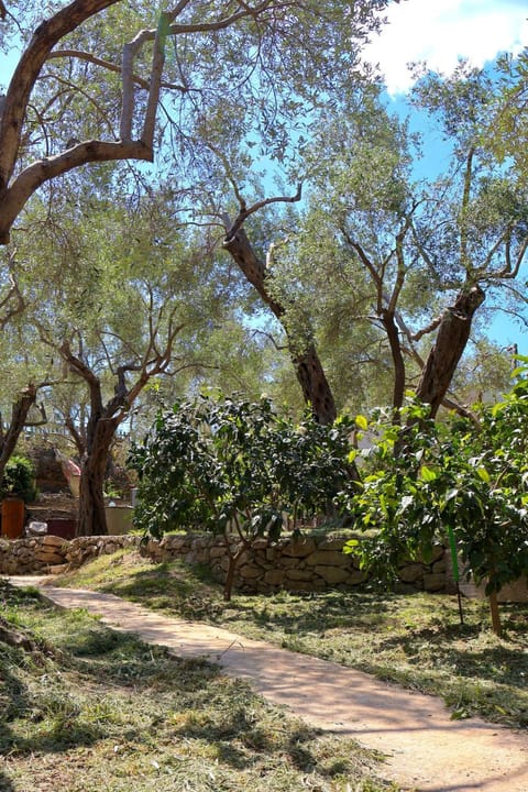Day, Natural landscape, Garden view