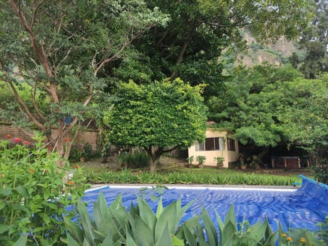 Property building, Garden